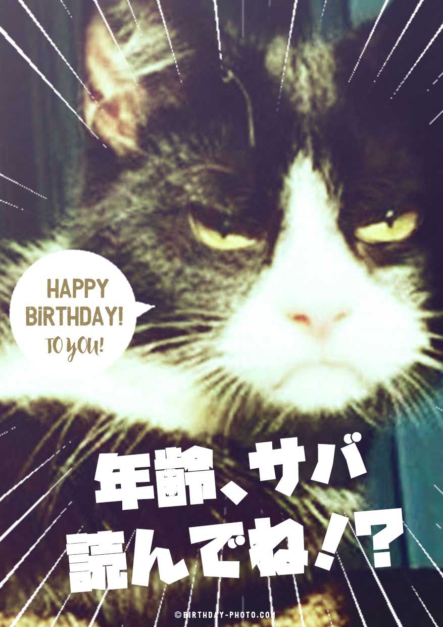 猫マニアの為のお誕生日お祝い画像